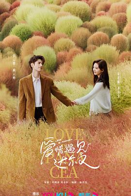 聊城seo优化价格